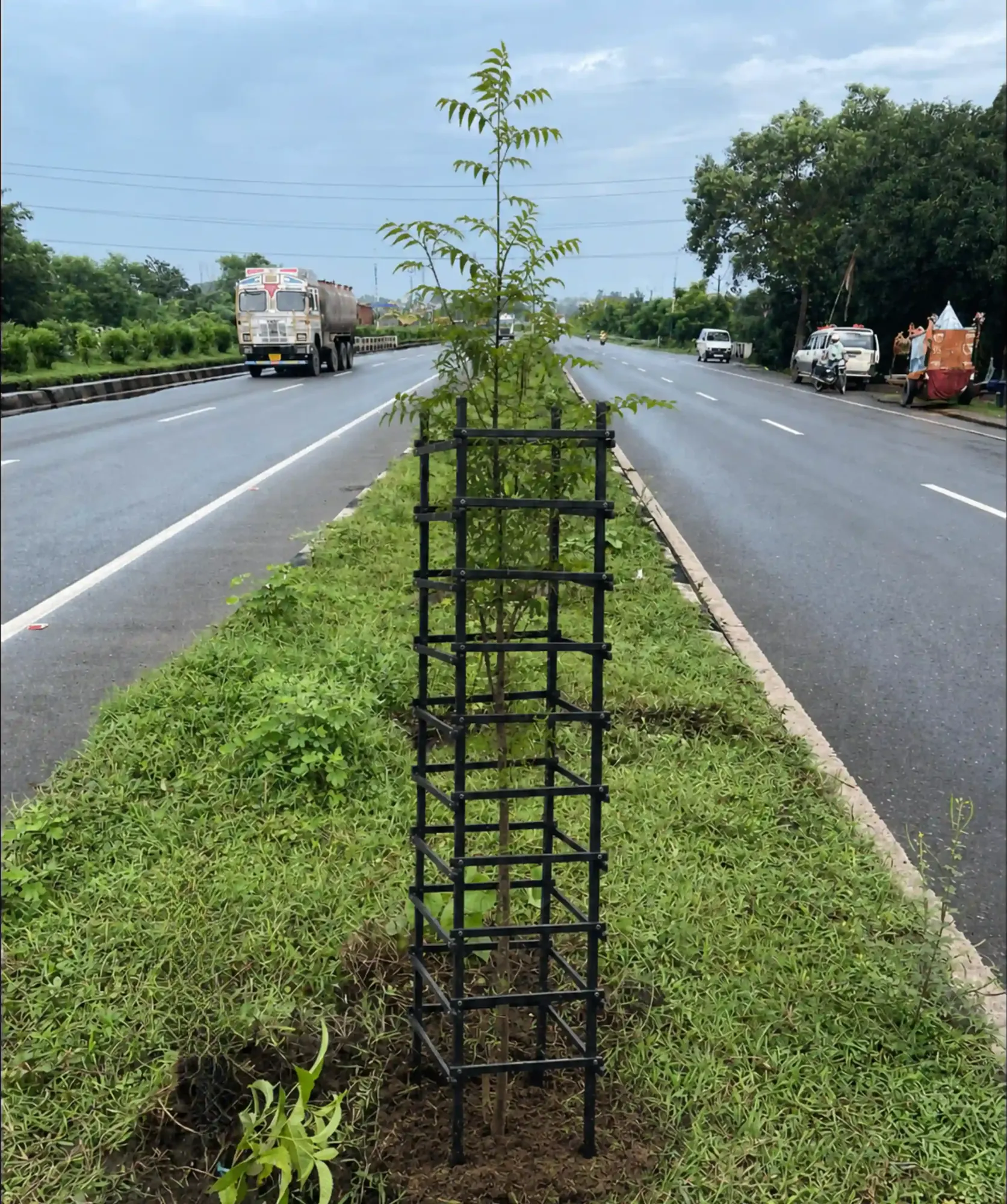 Bamboo tree guard protecting a young sapling on a highway median, part of an NHAI green highway plantation programme