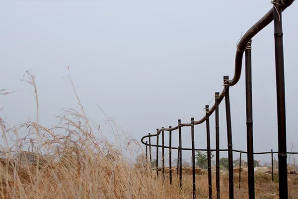 Bahu-Balli Fencing Pole/Post, bamboo poles, Bahu-Balli Trellis Supports, Bahu-Balli Poles with Anchor