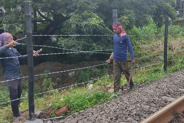 Bahu-Balli Fencing Pole/Post, bamboo poles, Bahu-Balli Trellis Supports, Bahu-Balli Poles with Anchor