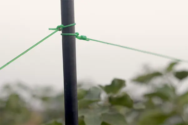 Bahu-Balli Fencing Pole/Post, bamboo poles, Bahu-Balli Trellis Supports, Bahu-Balli Poles with Anchor