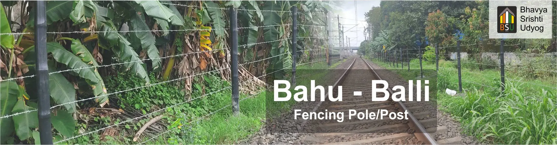 Bahu-Balli Fencing Pole/Post, bamboo poles, Bahu-Balli Trellis Supports, Bahu-Balli Poles with Anchor